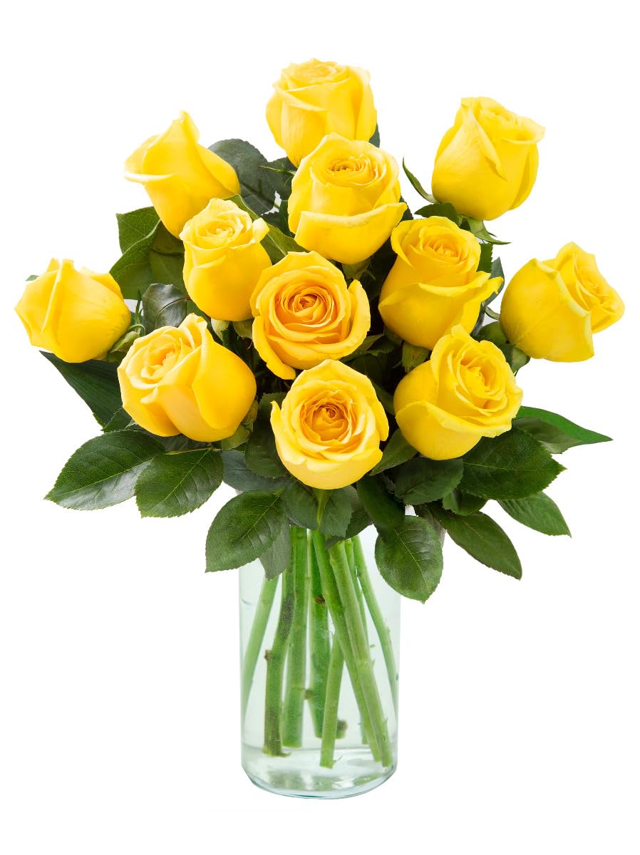 12 Yellow Roses in Glass Vase - Farm Fresh Cut Flowers by Arabella Bouquets | Perfect Birthday, Anniversary, Get Well, Sympathy & Romantic Gifts | Ideal for Home Decor, Wedding Centerpieces & Special Occasions