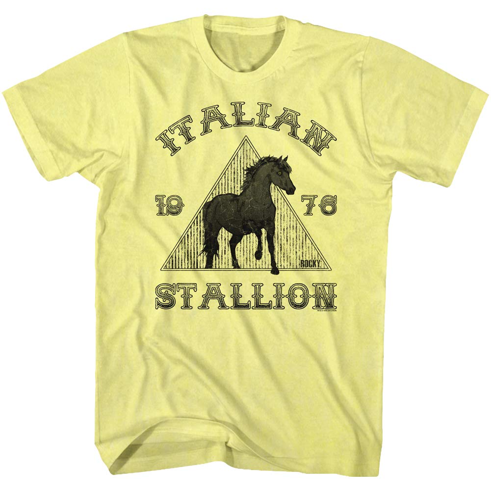 Rocky MGM Movie Italy Men's Graphic T-Shirt - Vintage Film Tee for Casual Wear & Fan Gifts