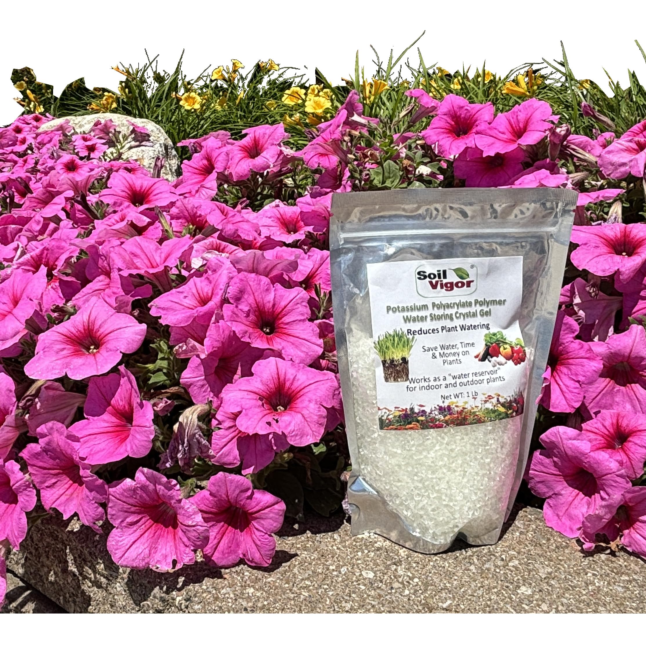 Premium Water Storing Crystal Soil Additive - Commercial Grade Hydroponic Growing Medium for Plants | Ideal for Indoor Gardening, Terrariums & Floral Arrangements