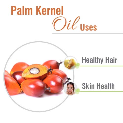 Organic Plum Kernel Oil (Prunus Domestica) - 100% Pure, Undiluted Carrier Oil for Skin & Hair Care - Cold Pressed, Therapeutic Grade - 67.6 fl oz (2000ml) - Perfect for Aromatherapy, Massage & DIY Beauty Products