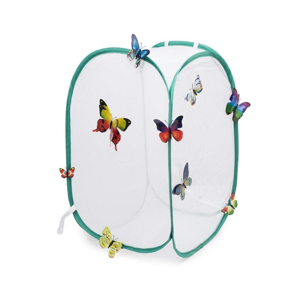 Hyindoor 24-Inch Tall Pop-Up Insect and Butterfly Habitat Cage Terrarium - White | Perfect for Classroom, Home, and Outdoor Nature Observation