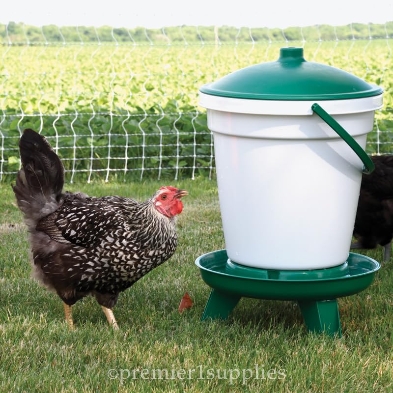 Premier 1 Quick Clean 5 Gallon Poultry Waterer with Legs - Automatic Chicken Water Feeder for Coops & Backyard Flocks - Durable & Easy to Clean for Healthy Chickens