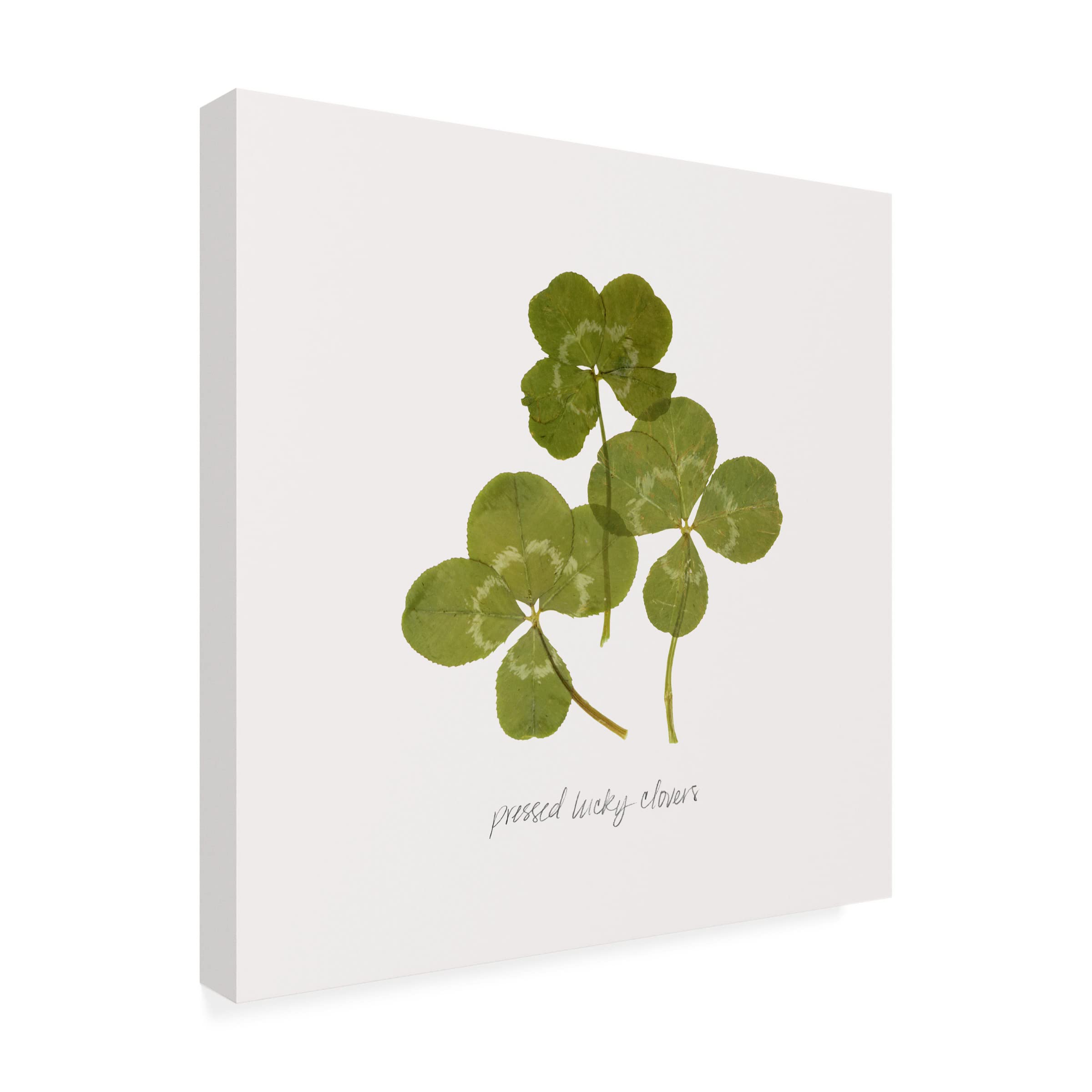 Grace Popp 'Pressed Clover II' Floral Canvas Wall Art Print - Modern Botanical Home Decor for Living Room, Bedroom & Office