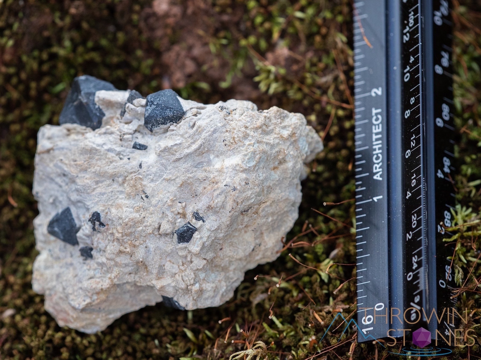 Natural MORION SMOKY QUARTZ Raw Crystal Cluster - Healing Stone for Home Decor, Housewarming Gift & Energy Healing (39865) | Perfect for Meditation, Feng Shui & Spiritual Practices