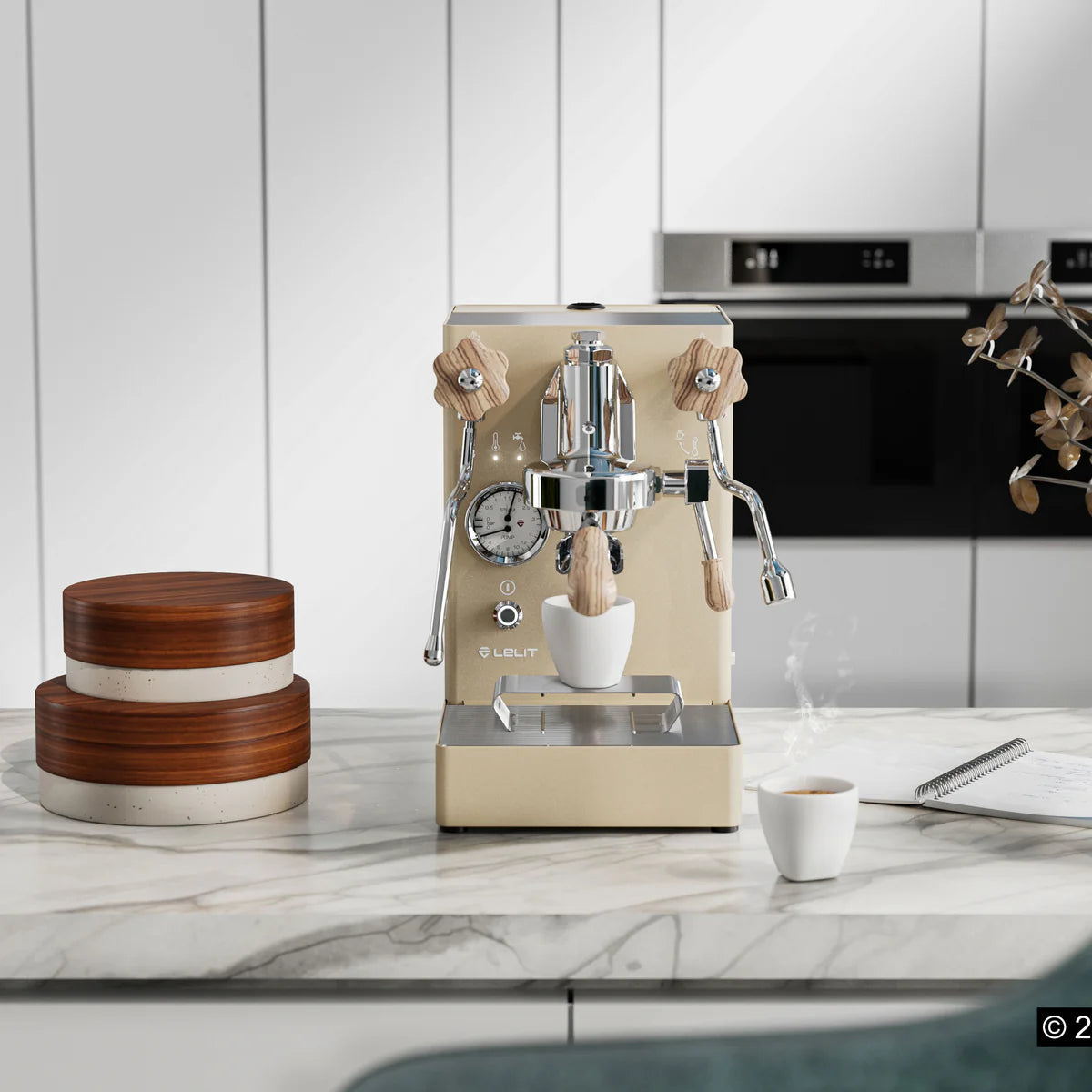 Lelit Mara X Professional Espresso Machine in Gold - Semi-Automatic Coffee Maker for Home & Cafe Use - Perfect for Espresso, Latte & Cappuccino Lovers #LEPL62XCG