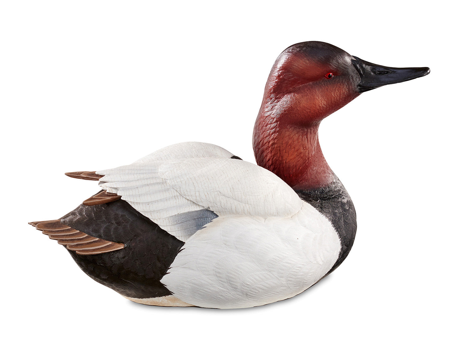 Canvasback Duck Decoy Sculpture - Handcrafted Wooden Hunting Decoy for Waterfowl Hunting & Home Decor | Perfect for Hunting Trips, Cabin Decor, and Outdoor Enthusiasts