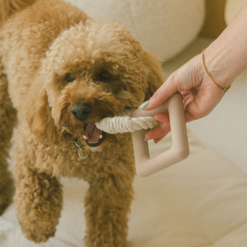 Peachy Dogs Chew Toy for Small & Medium Dogs - Durable Pet Chew Toys for Aggressive Chewers - Safe & Non-Toxic Dog Toys for Puppies & Adult Dogs - Perfect for Indoor Play, Teething Relief & Training Rewards