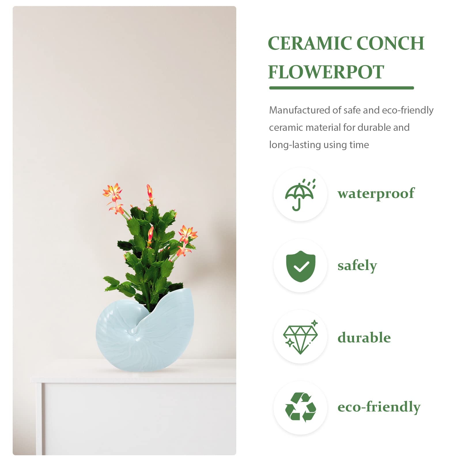 BESPORTBLE 1pc Ceramic Conch Planter Pot - Elegant Outdoor Flower Pot for Gardening, Hydroponics, Bonsai & Home Decor - Perfect for Patio, Balcony and Indoor Plants