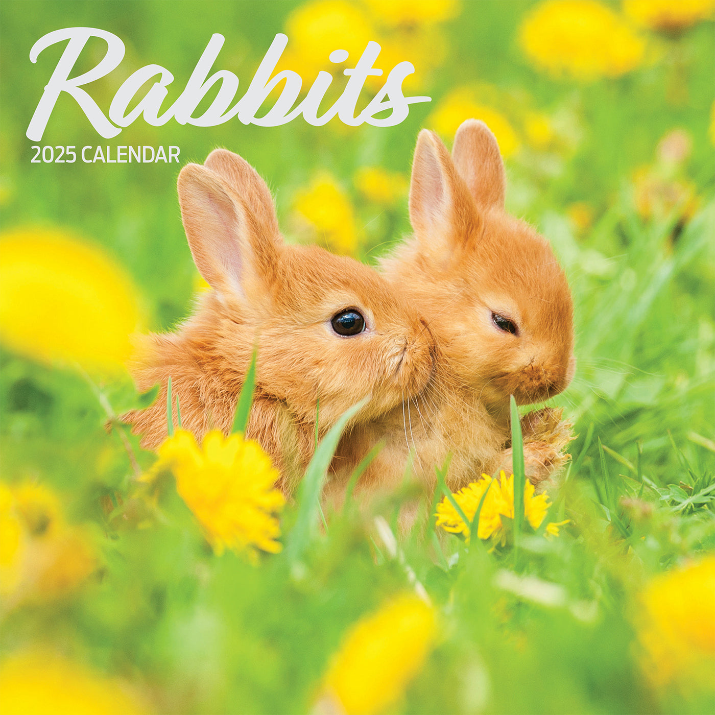 2025 Rabbit Zodiac Wall Calendar - Chinese Lunar New Year Decor & Planner | Perfect for Home, Office & Gifting