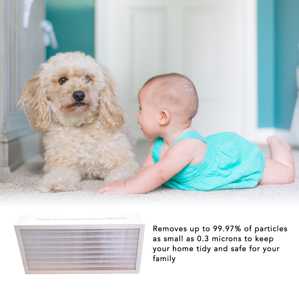 Blueair 400 Series HEPA Replacement Filter - Compatible with Blueair 400, 403, 405 Air Purifiers | High Efficiency Air Purification for Allergies, Dust & Pet Dander | Perfect for Home, Office & Nursery Use