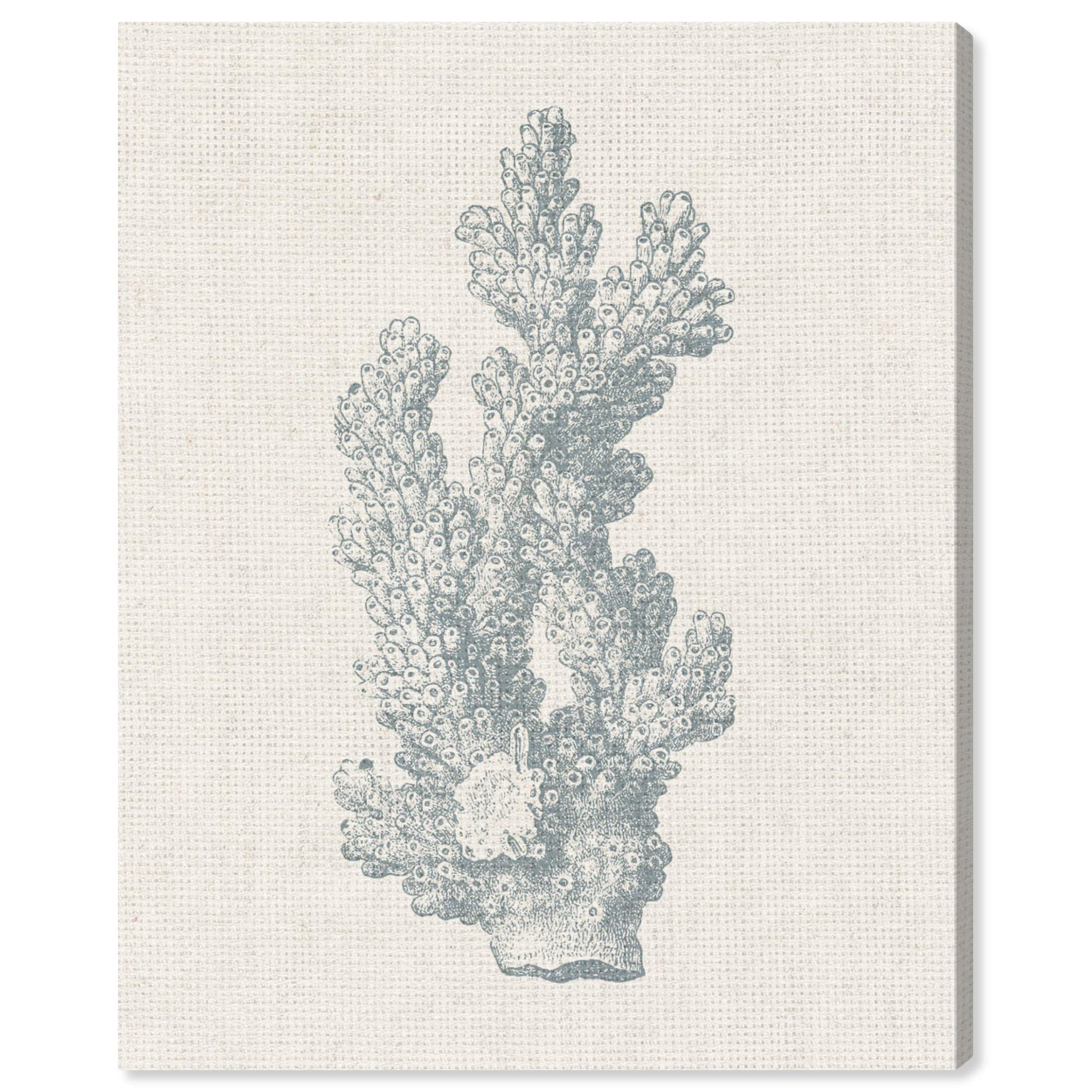 Oliver Gal Artist Co. Coastal Coral Wall Art Canvas Print - 30