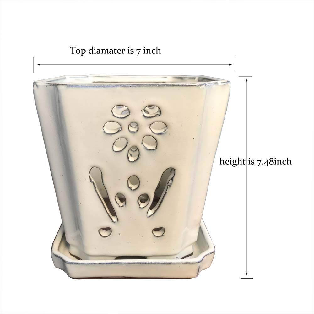 7 Inch Cream Orchid Pot with Drainage Hole - Large Indoor & Outdoor Planter for Orchids - Perfect for Home Decor, Office Plants, and Garden Flowers