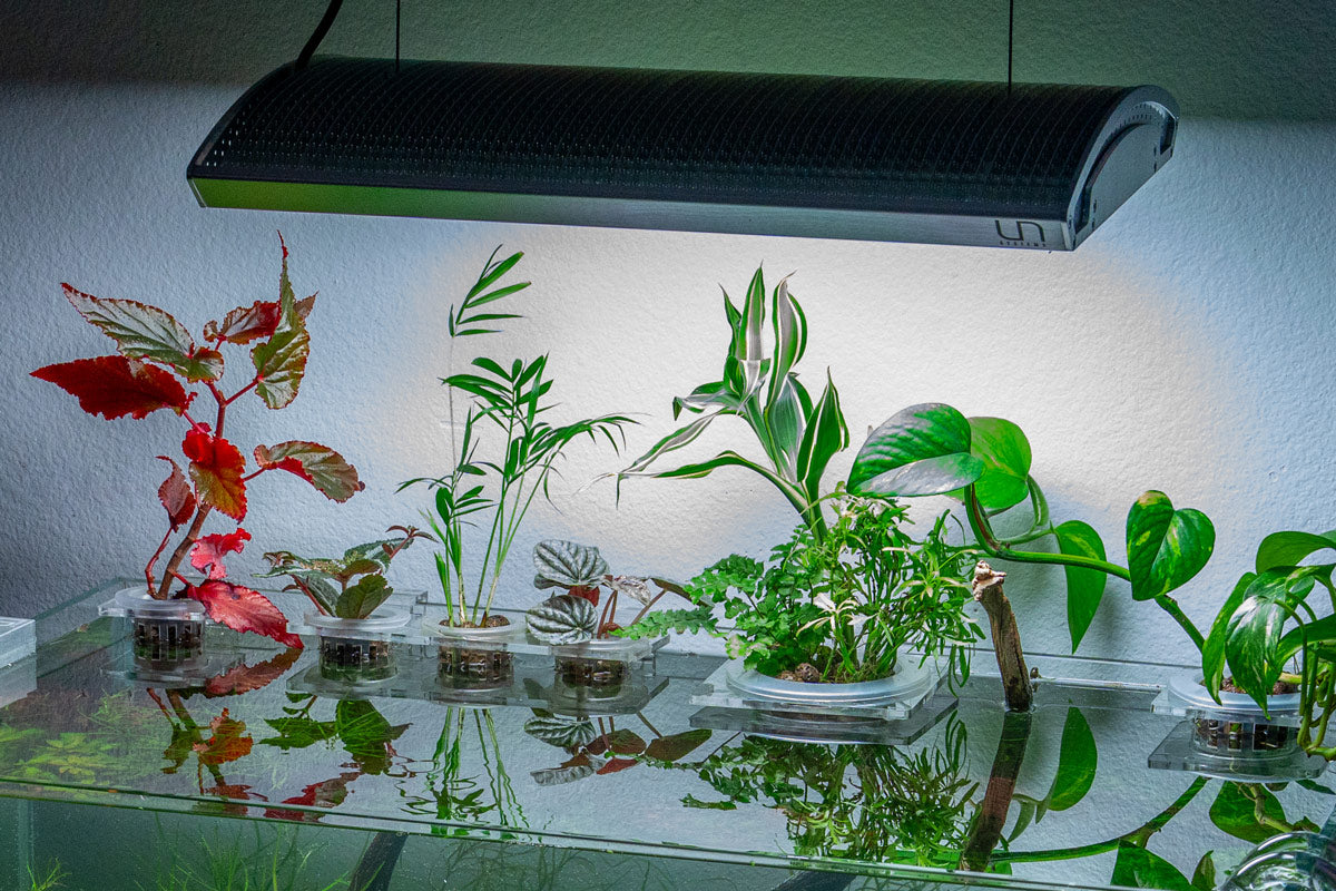 Best Hydroponic Planter Pot for Small Plants - Indoor Herb Garden Kit, Self-Watering Planter for Kitchen, Office & Balcony | Perfect for Growing Basil, Mint & Succulents