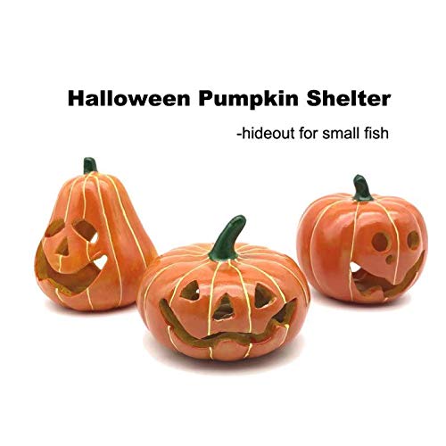 Handmade Resin Pumpkin Aquarium Decorations - Safe Fish Tank Ornaments for Turtles, Reptiles & Fish | Cute Hiding Cave Habitat Shelter | Perfect for Halloween Decor, Tabletop Displays & Aquatic Terrariums