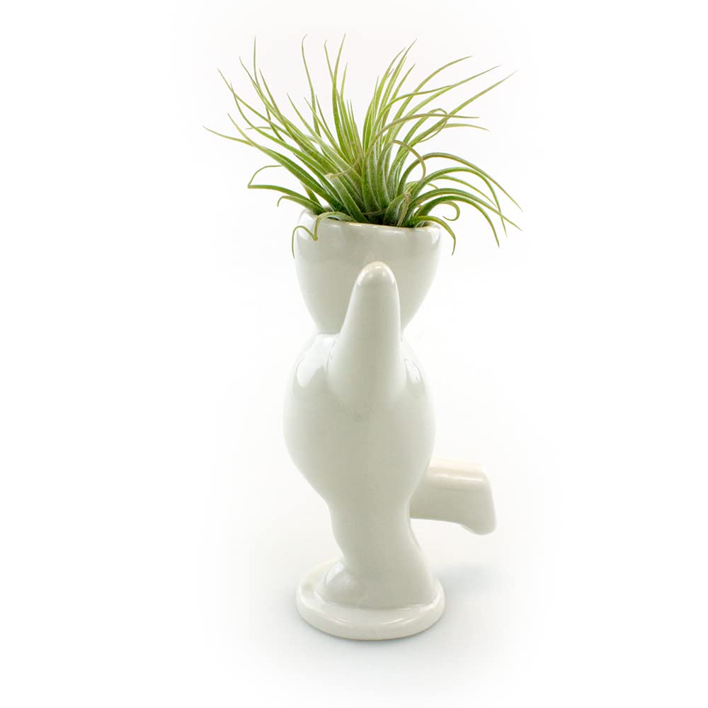 Happy Person Shaped Ceramic Planter (3.25 Inch) with Live Tillandsia Air Plant - White Indoor Air Plant Holder for Home, Office Desk & Shelf Decor - Perfect for Gifts, Zen Gardens & Boho Home Decor
