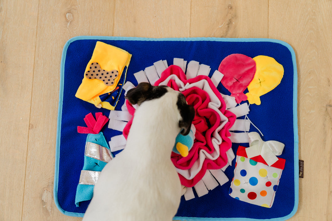 Woof Day Celebration Scented Dog Mat | Pet P.L.A.Y. - Perfect for Dog Training, Anxiety Relief & Home Decor