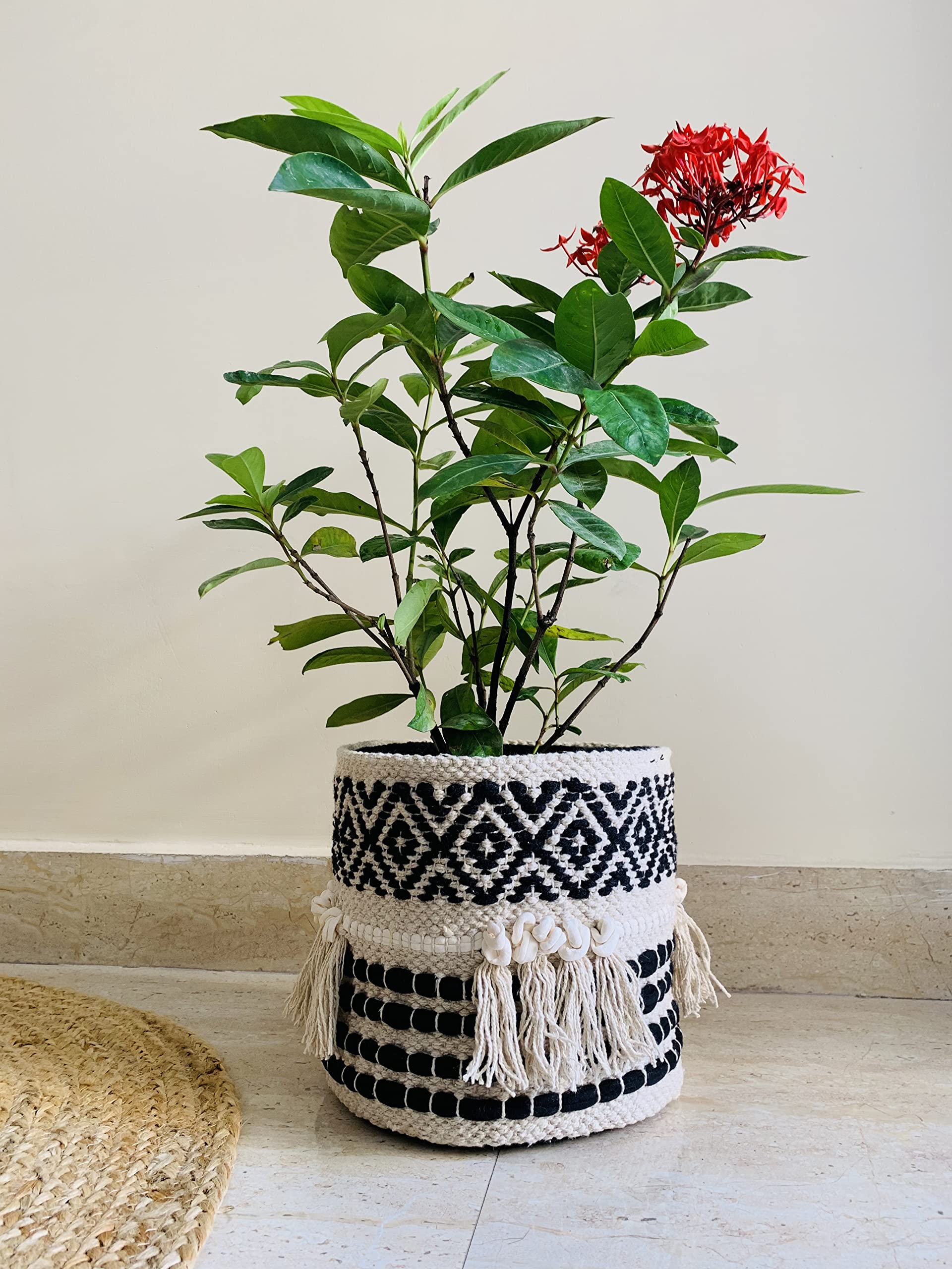Boho Handwoven Plant Basket - 9