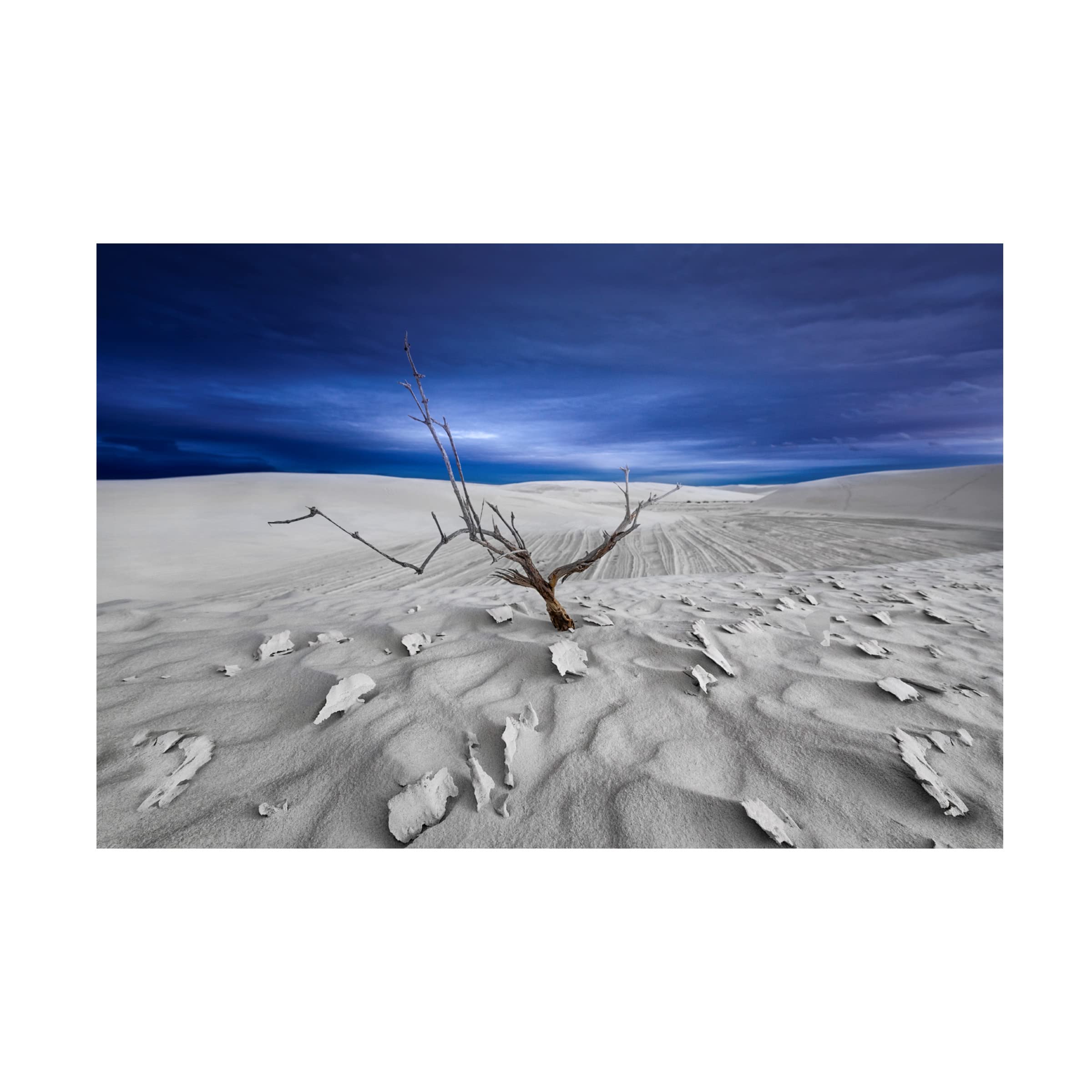 Trademark Fine Art 'Alone' Canvas Wall Art by Larry Deng - Modern Abstract Painting for Living Room, Bedroom & Office Decor