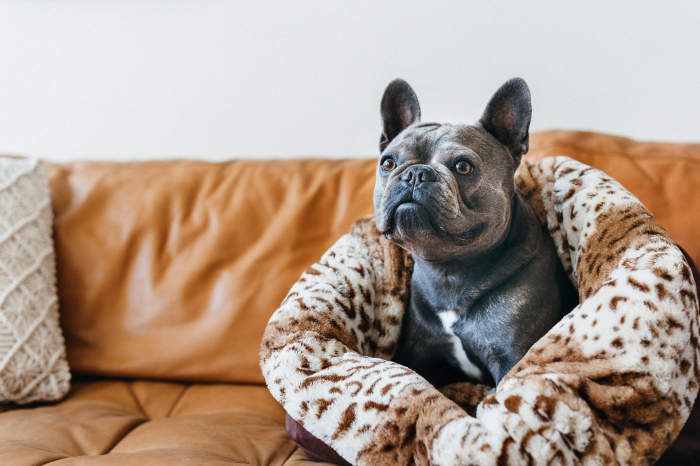 Premium Snuggle Beds for Dogs and Cats - Soft Leopard Brown Pet Bed with Removable Washable Cover, Cozy Sleeping Mat for Small Medium Large Pets - Perfect for Bedroom, Living Room & Crate Use