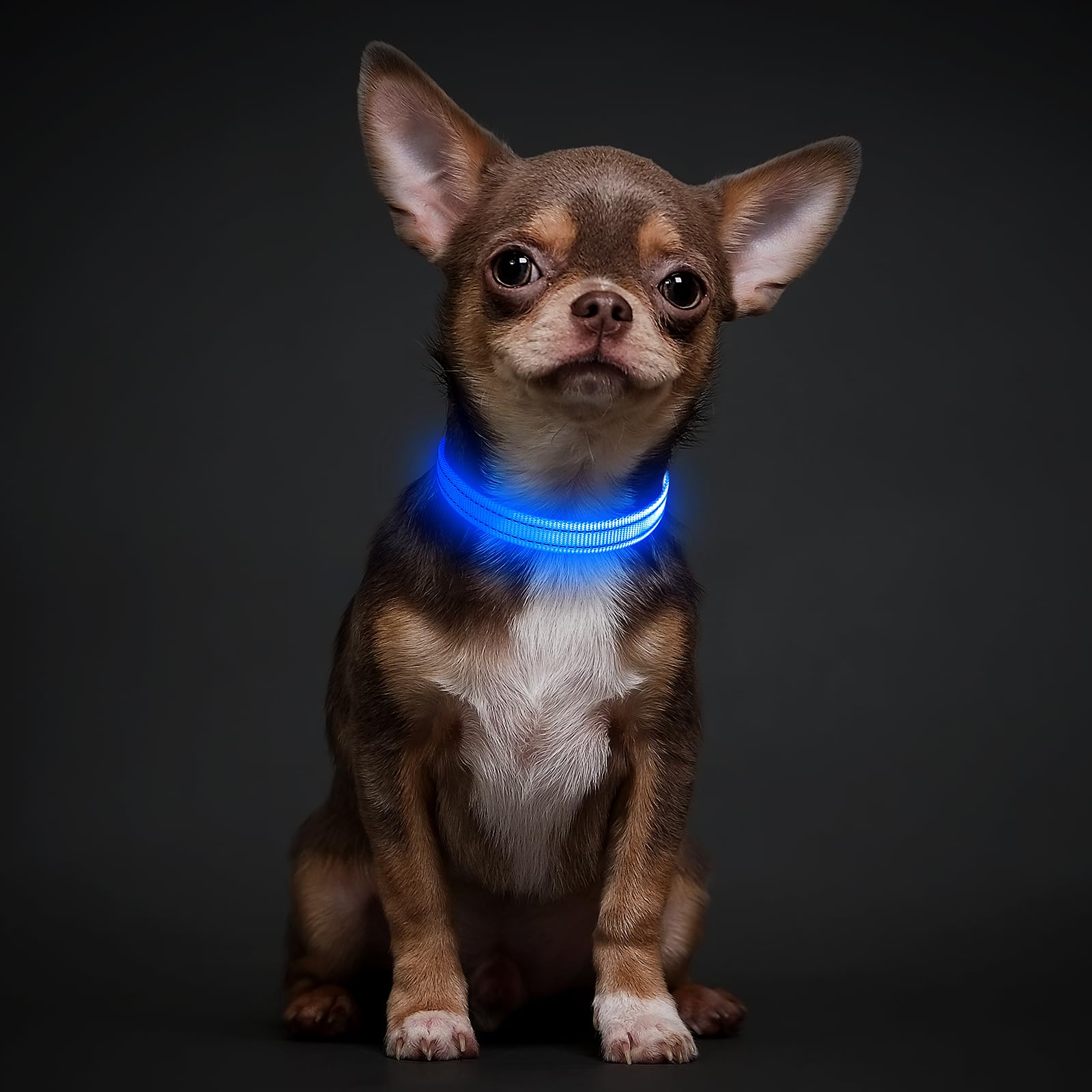 Illumifun USB Rechargeable LED Dog Collar Light - Adjustable Nylon Safety Collar for Small Dogs, Waterproof & Reflective for Night Walks, Jogging & Outdoor Adventures (Blue, X-Small) - Perfect for Evening Dog Walks, Camping & Low Visibility Conditions