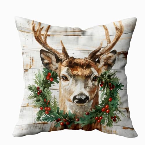 Reindeer