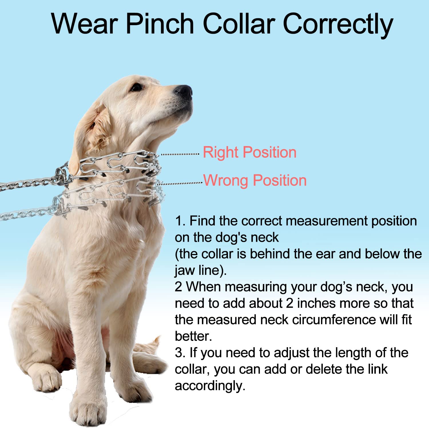 Stainless Steel Pinch Collar for Dogs - Adjustable Durable Training Collar for Medium & Large Breeds - Heavy Duty Pet Training Tool for Obedience & Behavior Control - Perfect for Walking, Leash Training & Outdoor Activities (Large, Silver)