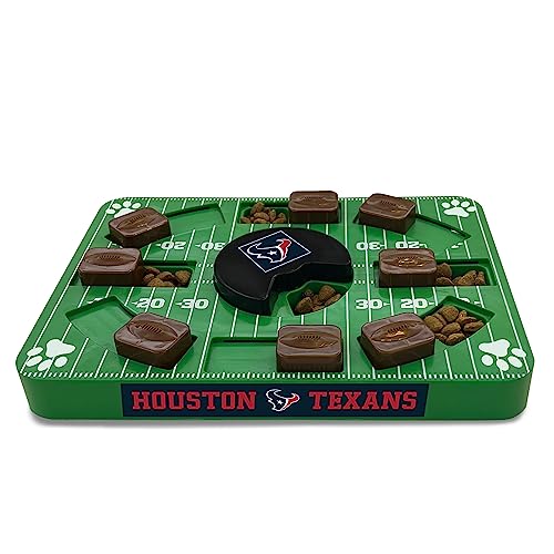 HOUSTON TEXANS