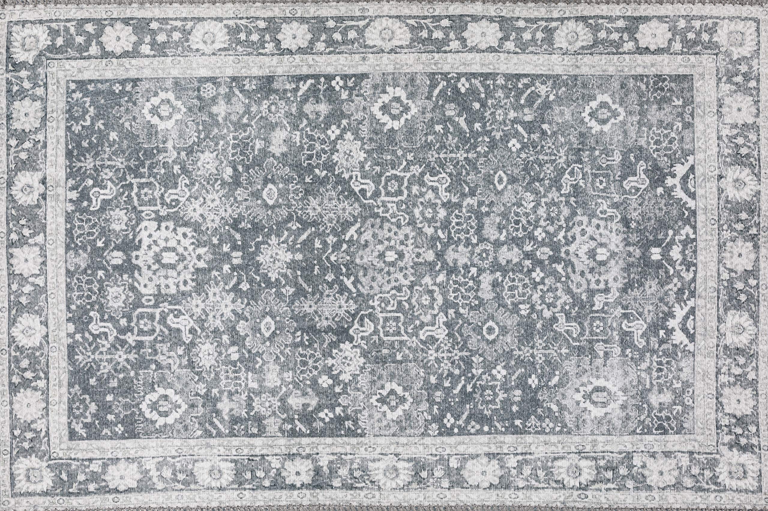 Dalyn Rugs Amanti Area Rug 20