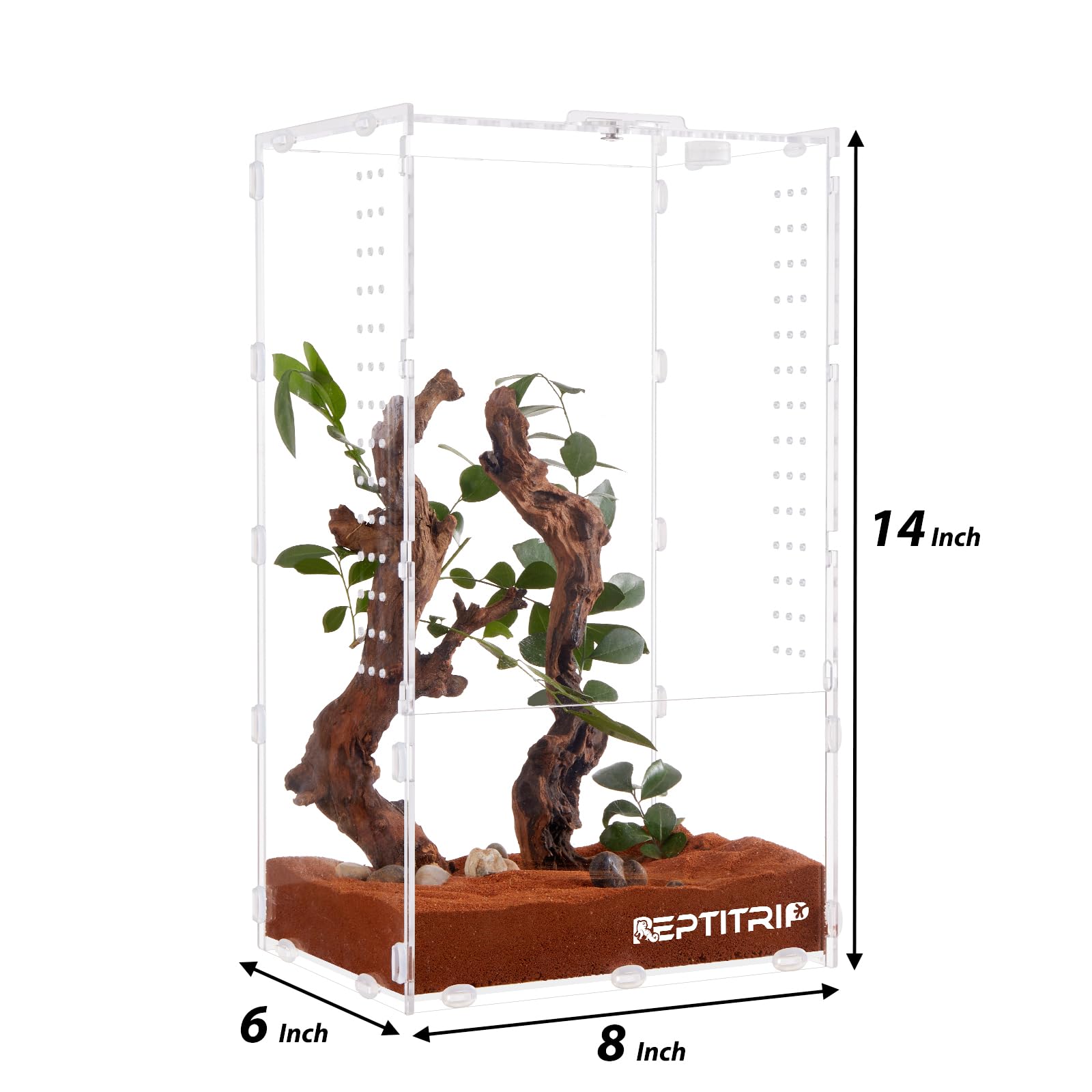 Premium Acrylic Spider Terrarium 6x8x14 - Ideal Enclosure for Jumping Spiders, Tarantula Larvae & Insects - Perfect for Pet Arthropod Habitat, Breeding & Observation - Great for Home, Classroom or Office Display