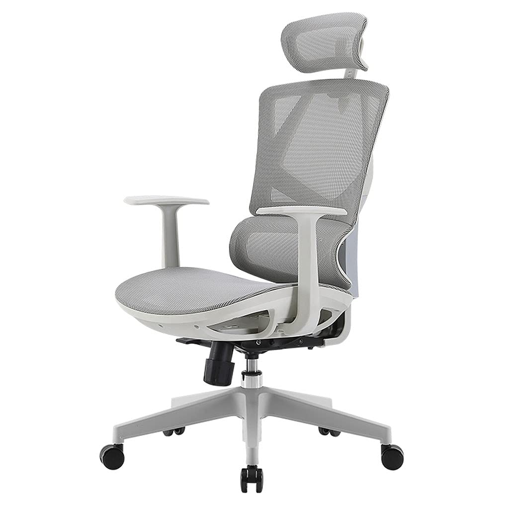 Ergonomic Office Chair for Desk - Adjustable Task Chair with Lumbar Support for Computer Work, Study & Homework - Posture Correcting Youth Chair for Comfortable Sitting (Gray) - Perfect for Home Office, Gaming & Online Classes