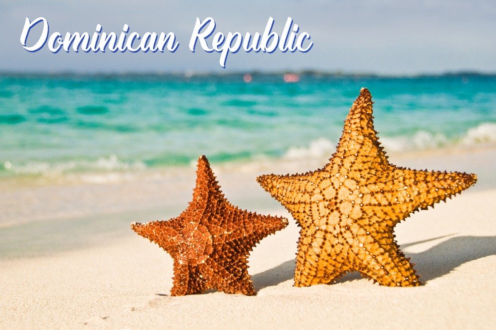 Dominican Republic Starfish Beach Wall Art - 16x24 Gallery Quality Metal Print, Aluminum Decor for Coastal & Beach House Decor