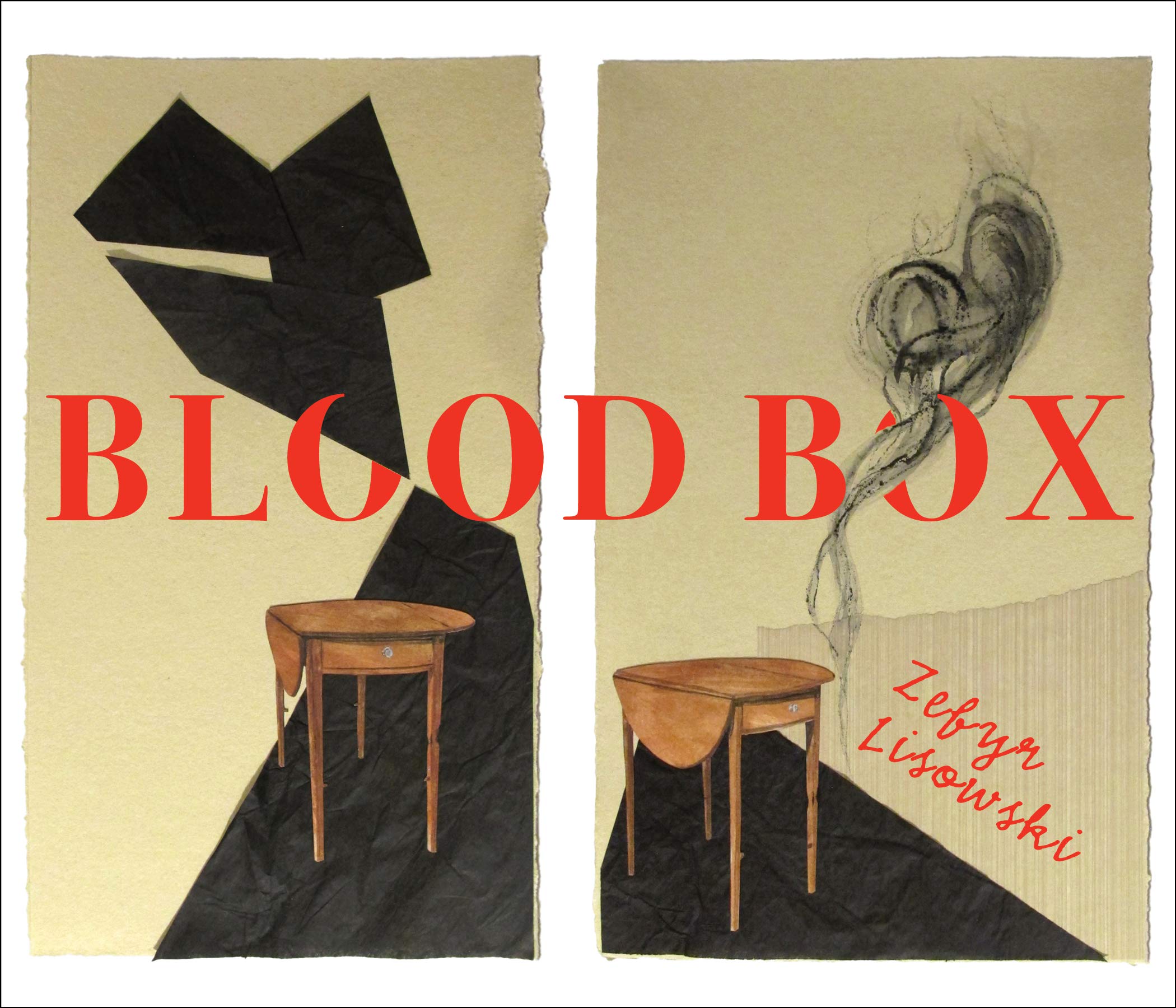 Blood Box - Premium Blood Collection Kit for Medical & First Aid Use | Essential for Hospitals, Clinics & Emergency Preparedness