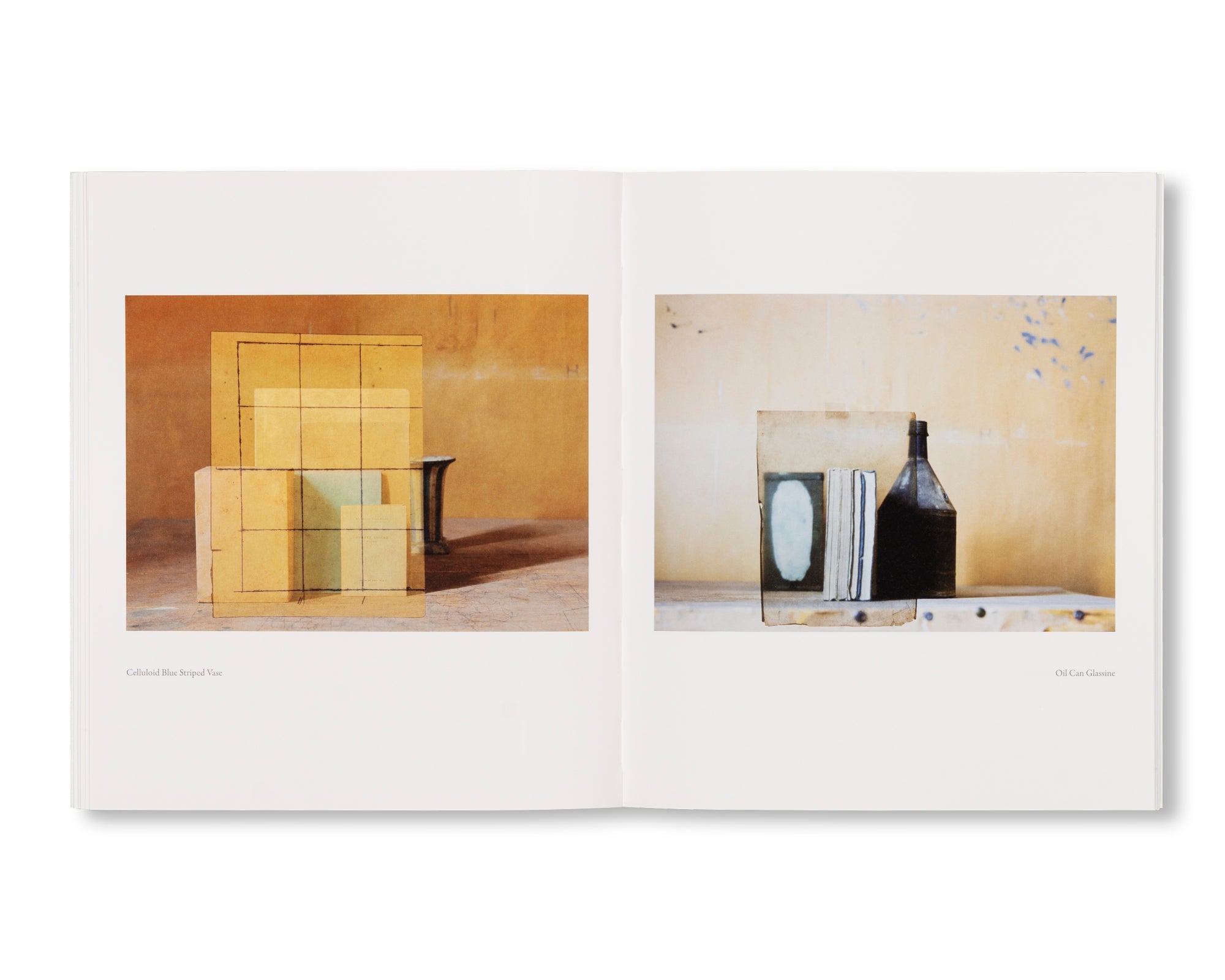MORANDI’S BOOKS by Mary Ellen Bartley - Art Photography Book Collection for Home Decor, Coffee Table Display & Gift Ideas