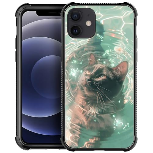The black cat in the water