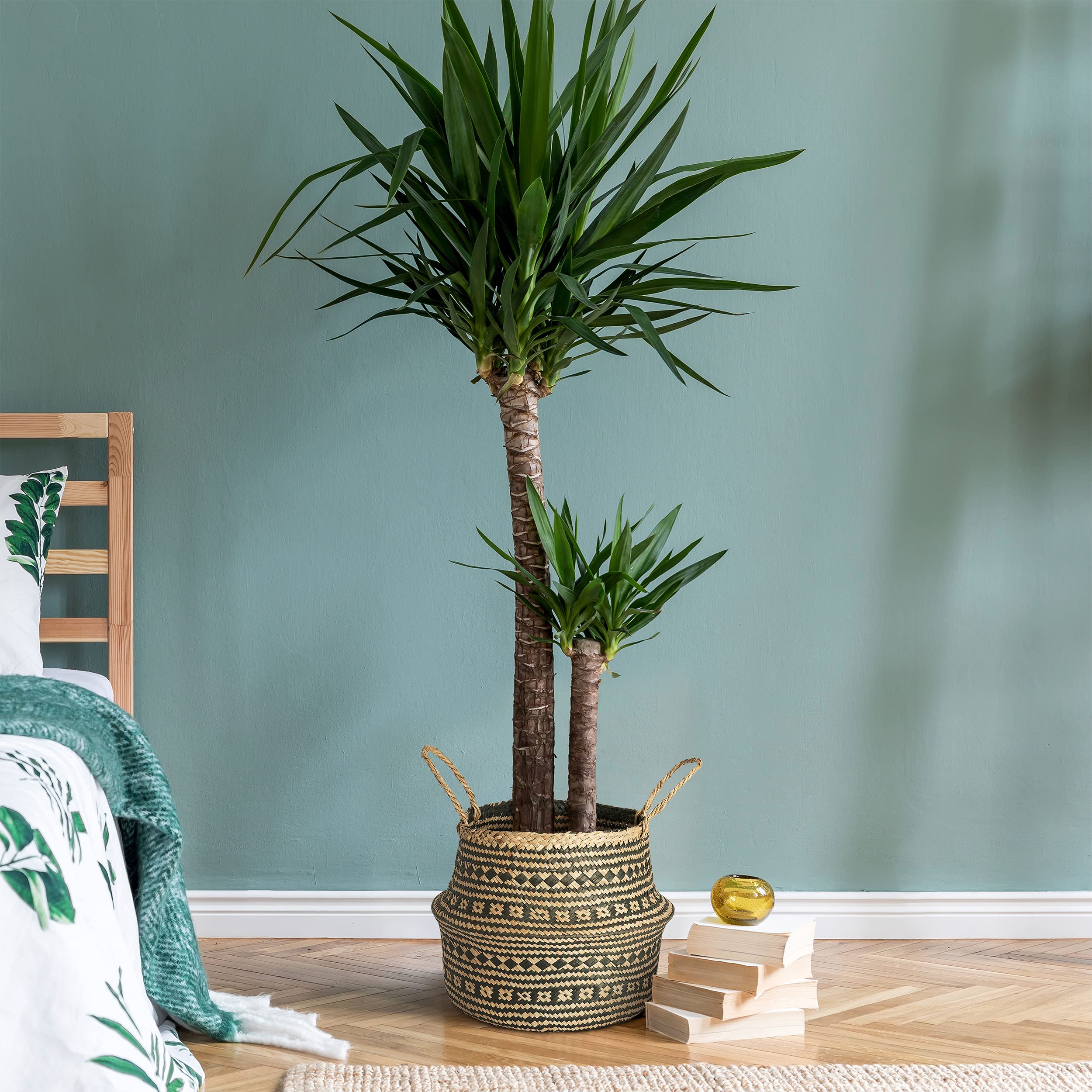 Artera Woven Seagrass Plant Basket with Plastic Liner - Natural Wicker Planter with Handles for Indoor Plants Like Fiddle Leaf Fig, Snake Plant & Monstera | Perfect for Home Decor, Living Room, Bedroom or Office (Medium, Black Striped)