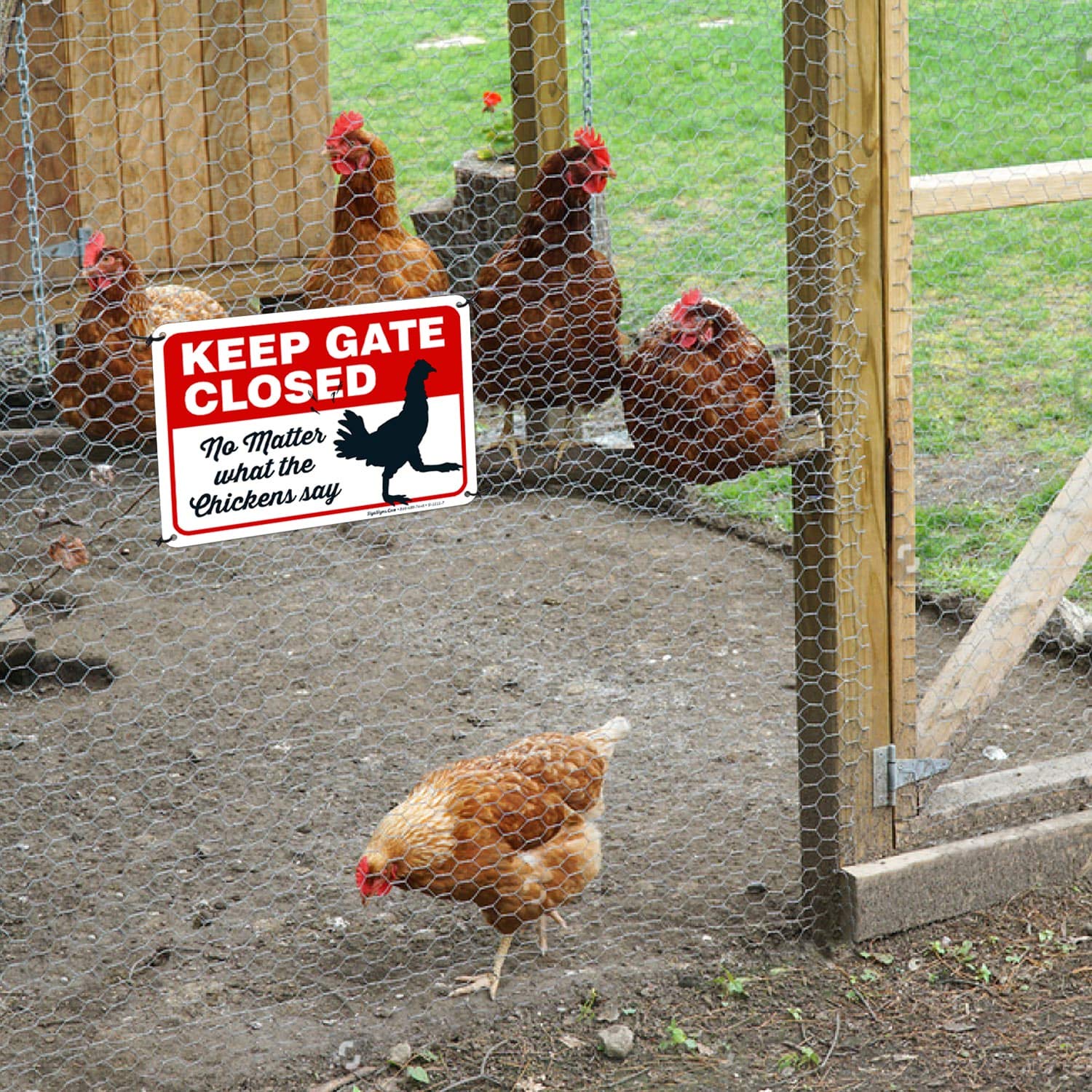Funny Chicken Coop Sign - 'Keep Gate Closed No Matter What The Chickens Say' - 10x7 Rust-Free Aluminum, Weatherproof & Fade-Resistant - Easy Mounting for Indoor/Outdoor Use - Made in USA - Perfect for Farmhouse Decor, Backyard Poultry Keeping & Humorous Gift Ideas