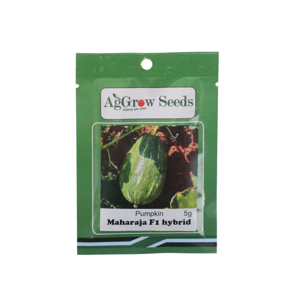 Premium AgGrow Pumpkin Seeds Maharaja 5g - Organic, Non-GMO, High-Yield for Home Gardening, Baking & Healthy Snacks