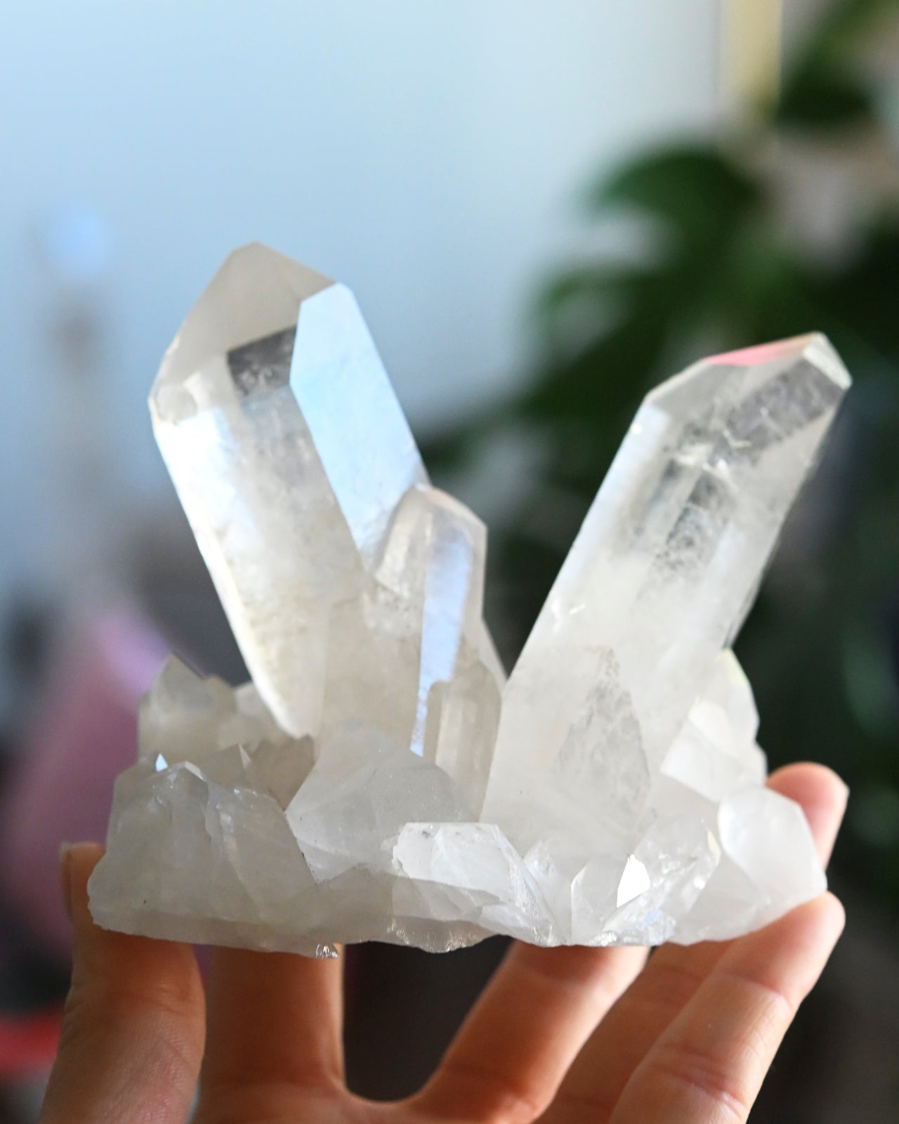 Natural Quartz Cluster - 1lb Raw Crystal Specimen for Healing, Meditation & Home Decor | Perfect for Reiki, Feng Shui & Spiritual Practices