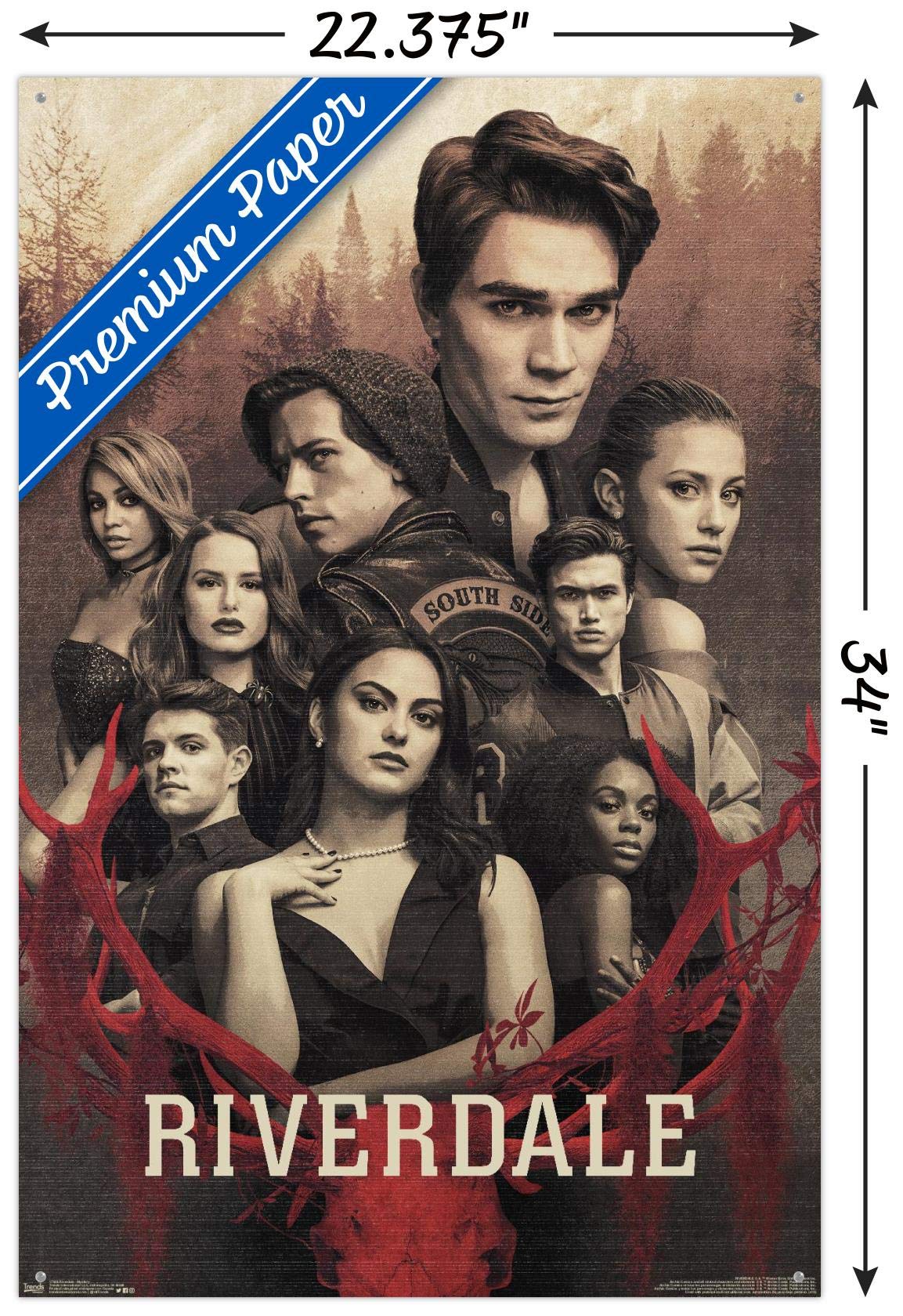 Trends International Riverdale Mystery Wall Poster with Push Pins - Premium Decor for Bedroom, Dorm & Office | Perfect Gift for TV Show Fans