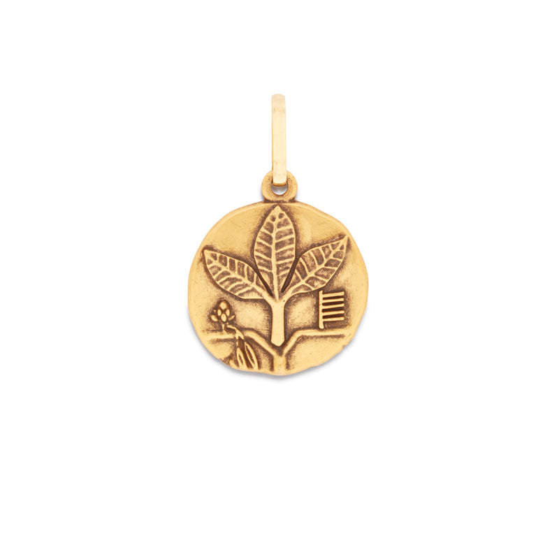 Ash Charm CS16C119 - Elegant Pendant Necklace for Women, Perfect for Parties, Weddings & Everyday Wear