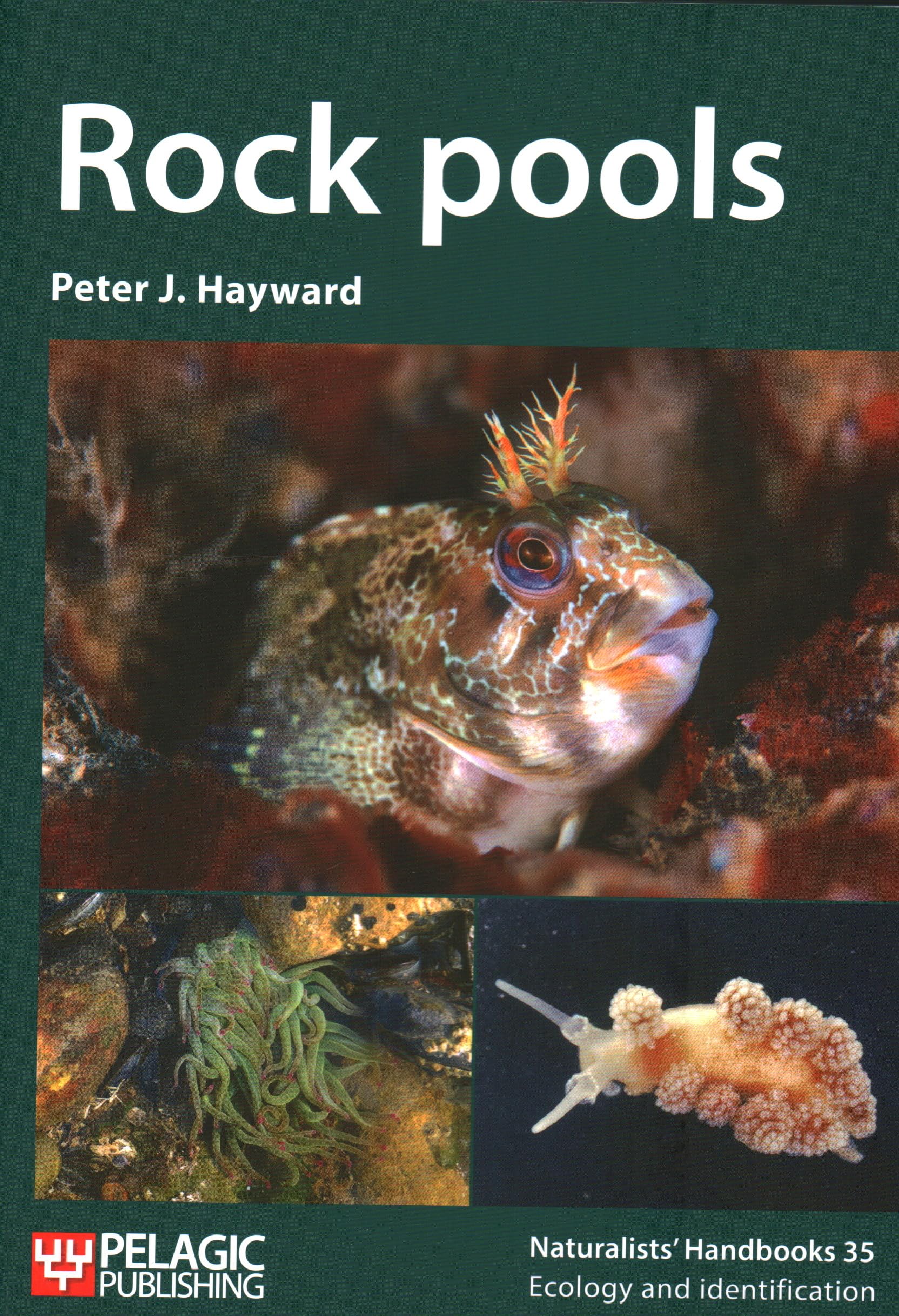 Rock Pools: A Naturalist's Guide to Coastal Ecosystems - Explore Marine Life & Tide Pools for Education, Research & Outdoor Adventures