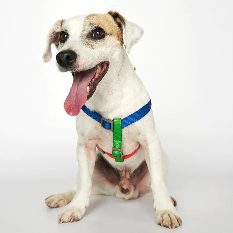 Premium No-Pull Dog Harness for Small & Medium Dogs - Adjustable & Reflective Pet Vest with Handle - Perfect for Walking, Running & Outdoor Adventures