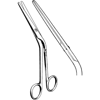 Cottle Dorsal Scissors 6