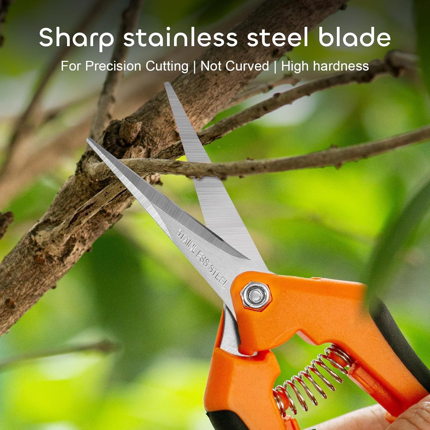 GROWNEER 6.5 Inch Pruning Shears - Stainless Steel Precision Garden Scissors for Trimming Plants, Flowers & Branches | Ideal for Gardening, Landscaping & Outdoor Use