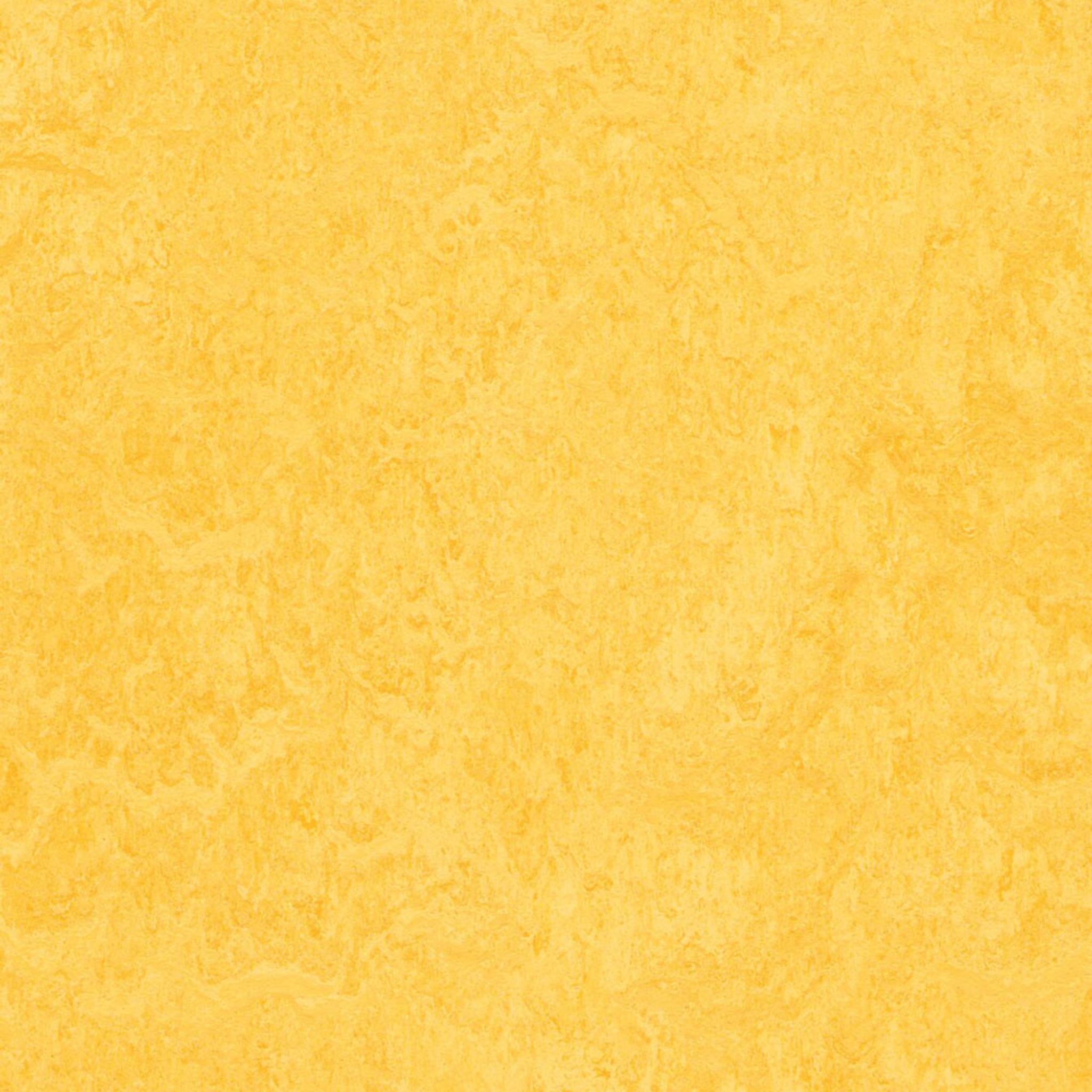 Lemon Zest