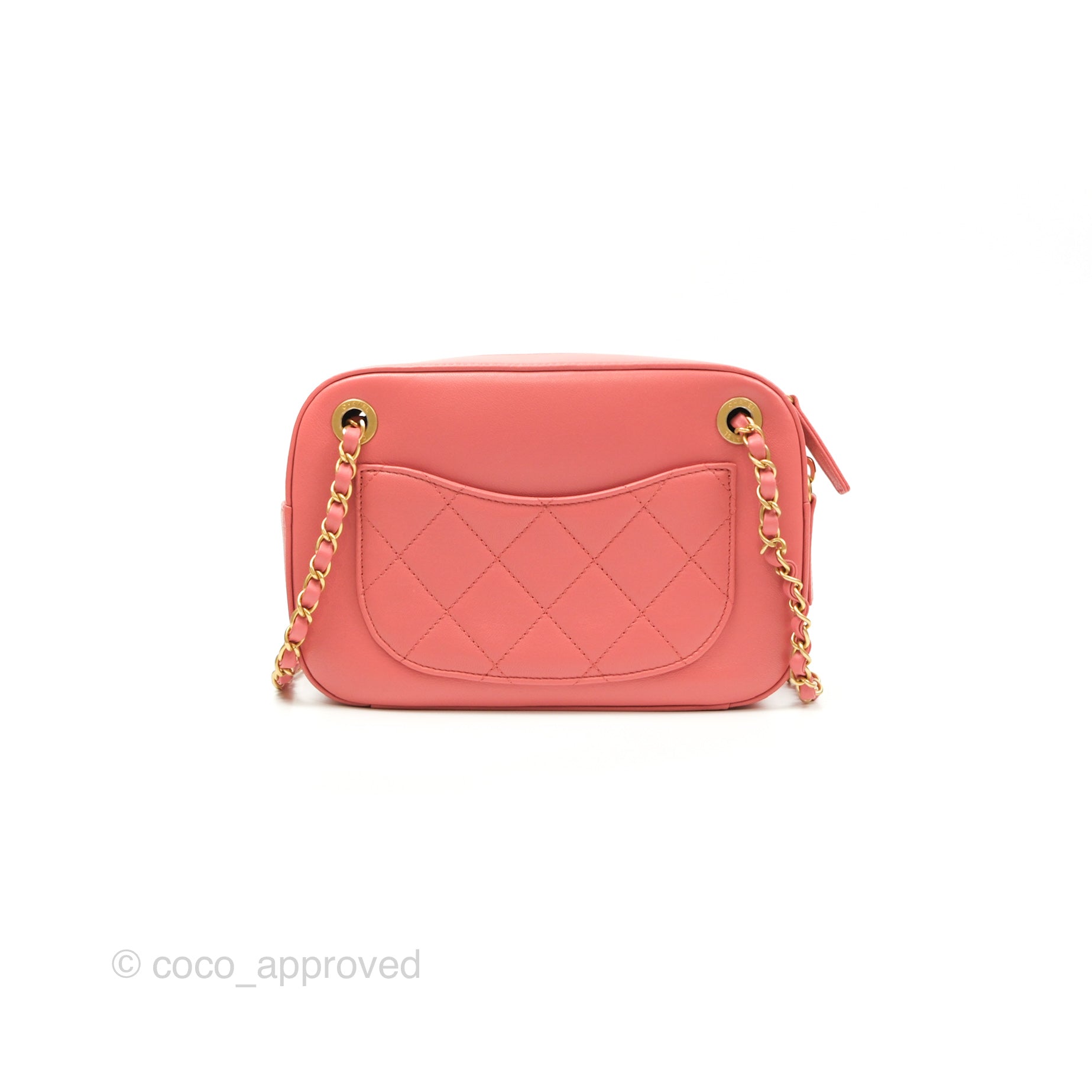Chanel Pink Goatskin Camera Bag with Aged Gold Chain Strap - Luxury Crossbody Bag for Women, Perfect for Parties & Date Nights