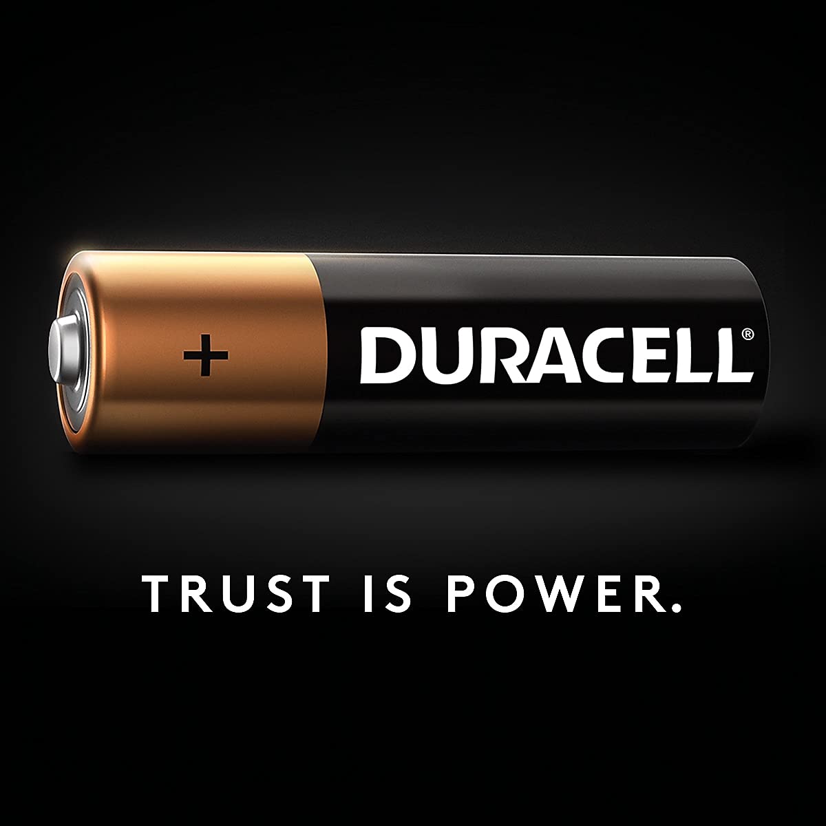 Duracell CopperTop Alkaline AA Batteries 10-Pack with Duralock Power Preserve Technology - Long-Lasting Power for Toys, Flashlights & Electronics (DURMN1500B10Z)