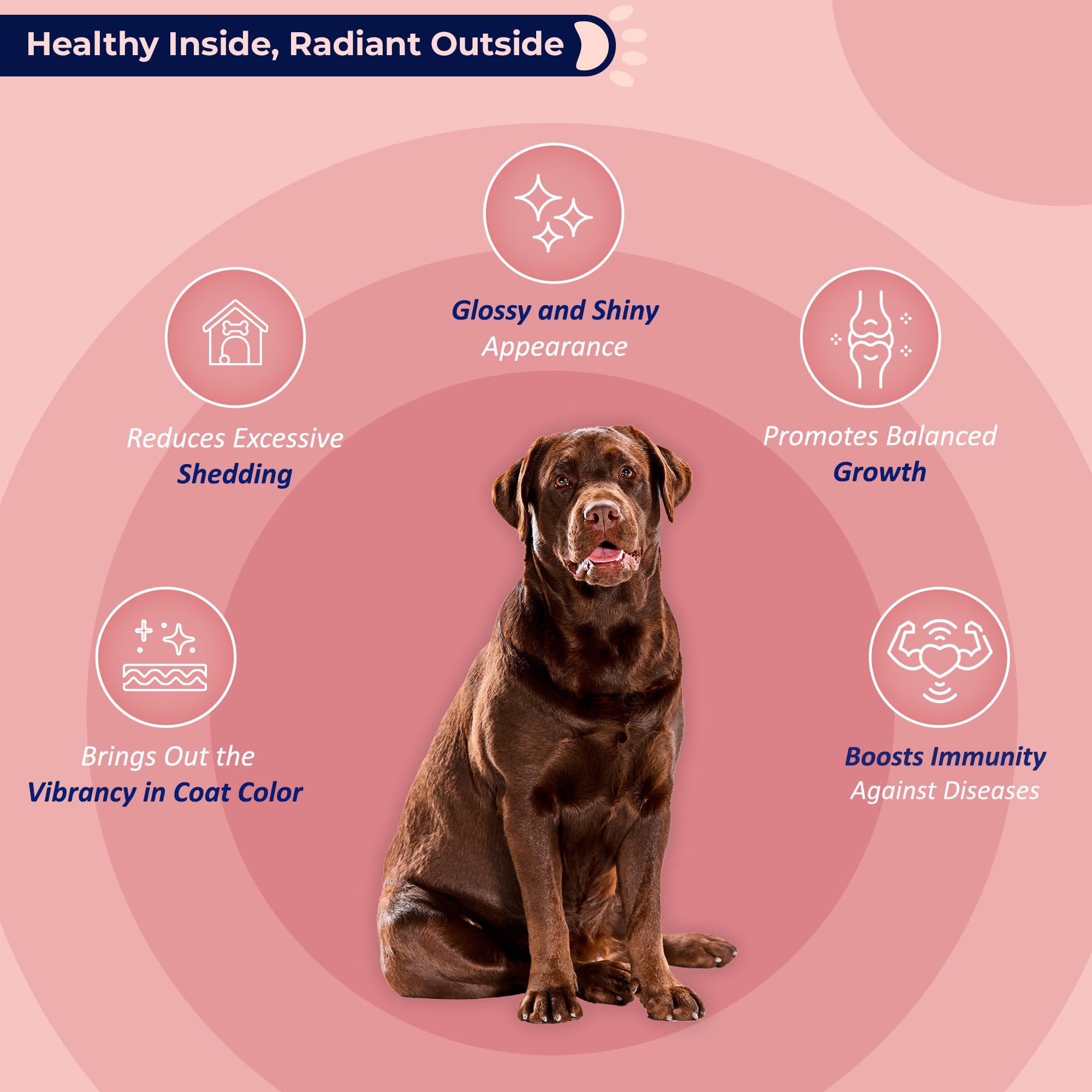 Life Line Pet Nutrition Wild Alaskan Salmon Oil Omega-3 Supplement for Dogs & Cats – Supports Skin, Coat, Brain, Eye & Heart Health – 128 oz – Ideal for Daily Pet Wellness & Allergy Relief