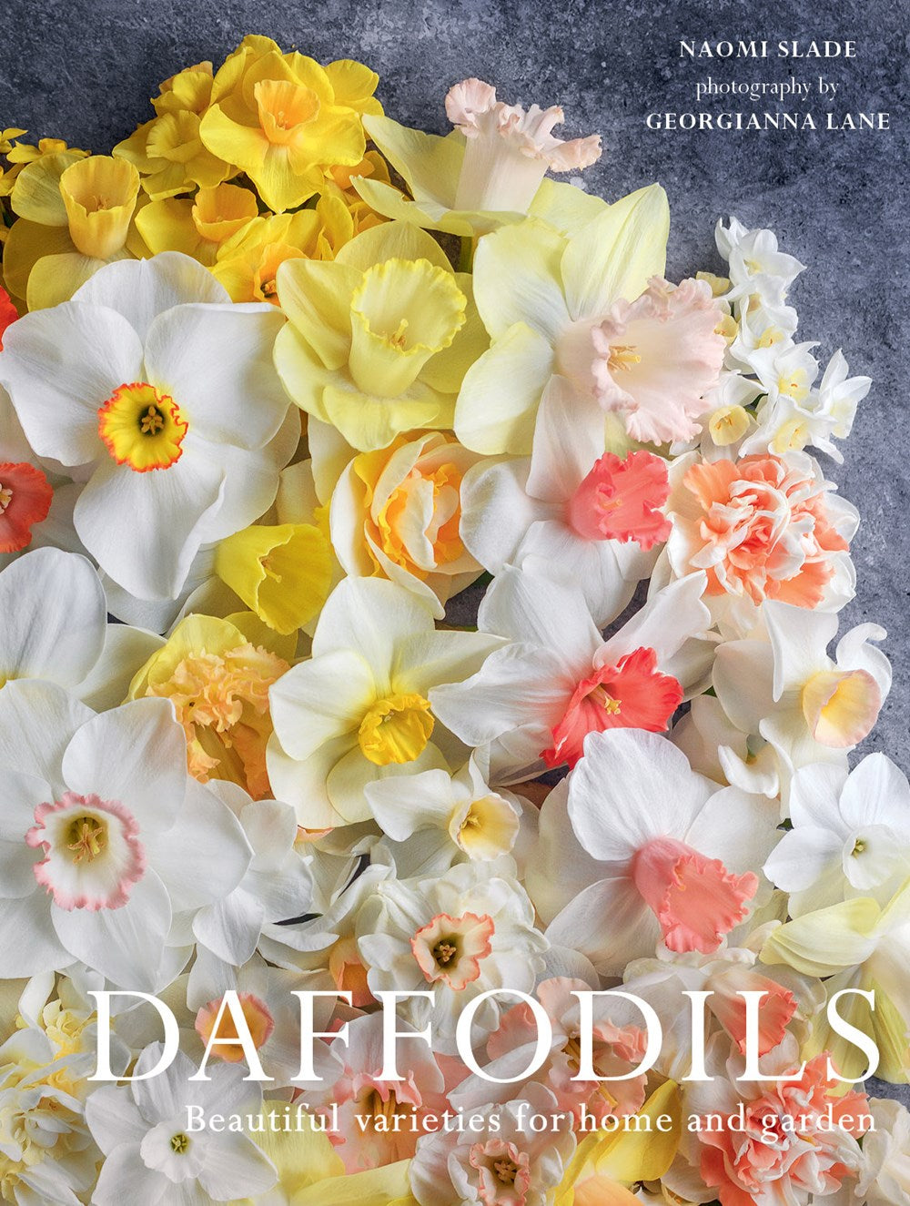 Daffodils Book - Classic Poetry Collection by William Wordsworth - Perfect for Literature Lovers & Gift Giving