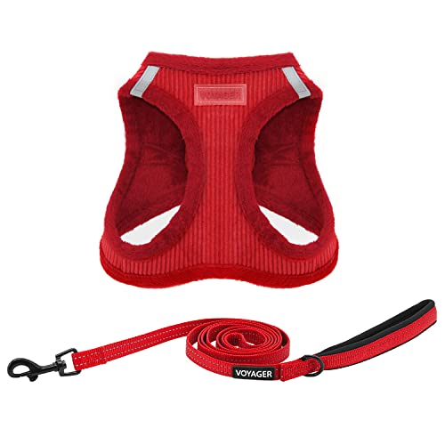 Harness Leash Set (Red Corduroy)